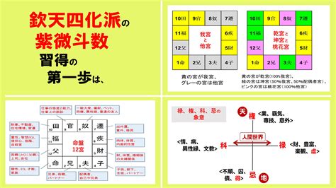 向紫微|欽天四化紫微斗数の基本知識 